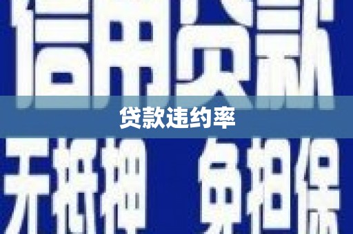 西夏贷款违约率