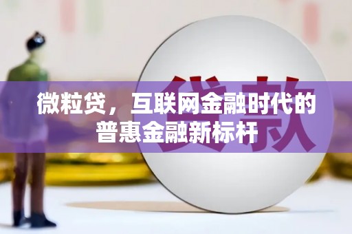 西夏微粒贷，互联网金融时代的普惠金融新标杆
