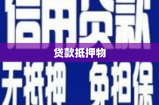 西夏贷款抵押物