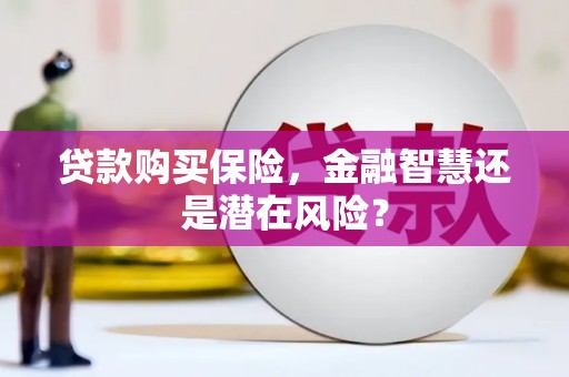 西夏贷款购买保险，金融智慧还是潜在风险？