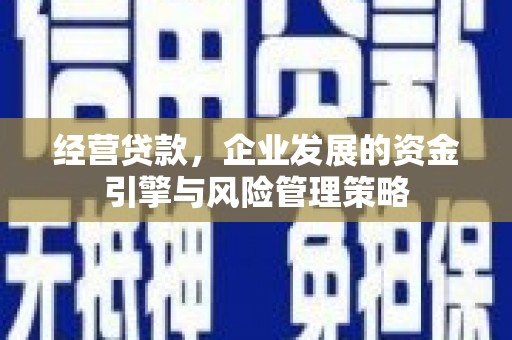 西夏经营贷款，企业发展的资金引擎与风险管理策略