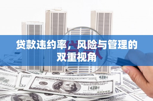 西夏贷款违约率，风险与管理的双重视角