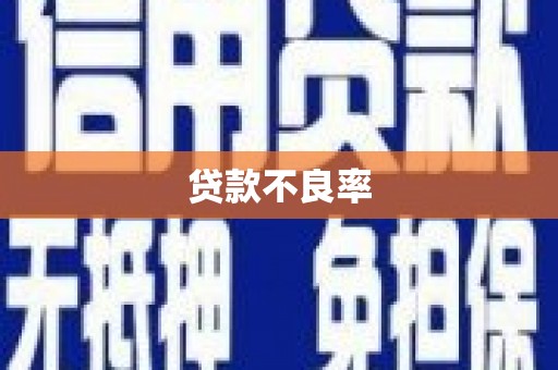 西夏贷款不良率