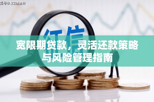 西夏宽限期贷款，灵活还款策略与风险管理指南