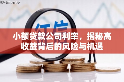 西夏小额贷款公司利率，揭秘高收益背后的风险与机遇
