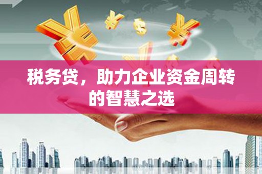 西夏税务贷，助力企业资金周转的智慧之选
