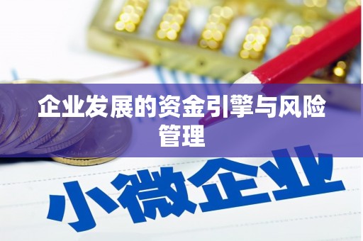 西夏企业发展的资金引擎与风险管理