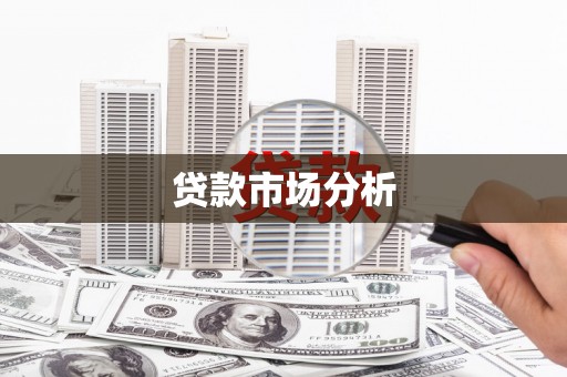 西夏贷款市场分析