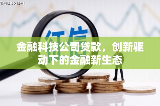 西夏金融科技公司贷款，创新驱动下的金融新生态