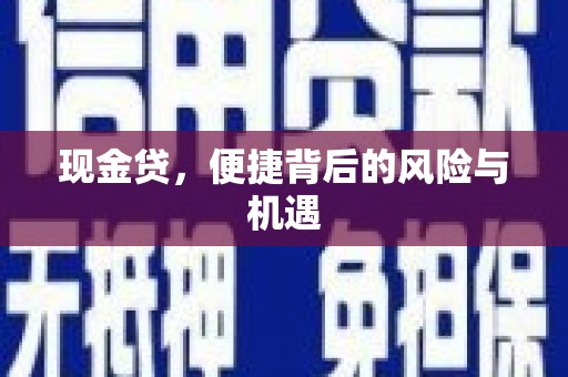 西夏现金贷，便捷背后的风险与机遇