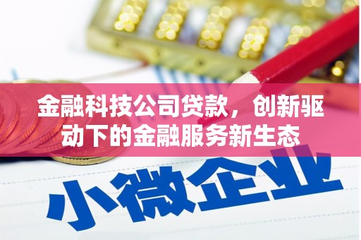 西夏金融科技公司贷款，创新驱动下的金融服务新生态
