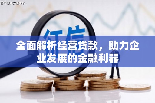 西夏全面解析经营贷款，助力企业发展的金融利器