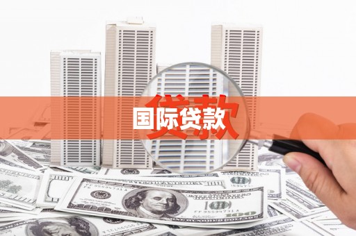 西夏国际贷款