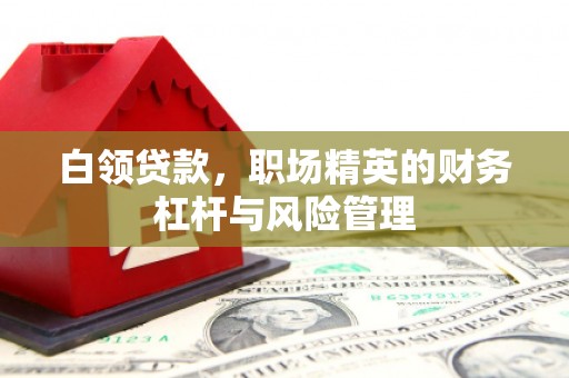 西夏白领贷款，职场精英的财务杠杆与风险管理
