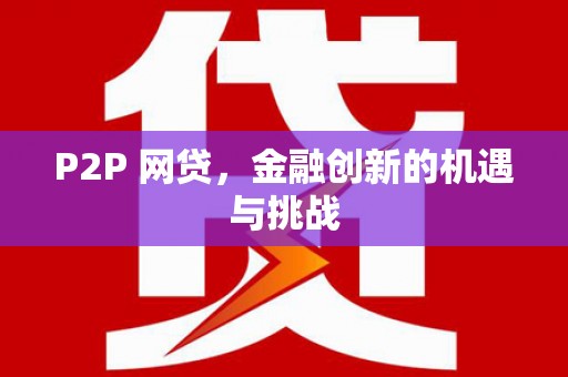 西夏P2P 网贷，金融创新的机遇与挑战