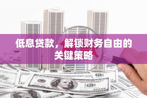 西夏低息贷款，解锁财务自由的关键策略