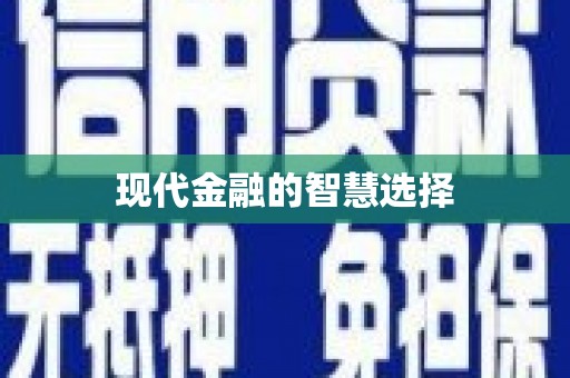 西夏现代金融的智慧选择