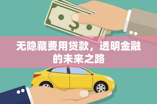 西夏无隐藏费用贷款，透明金融的未来之路