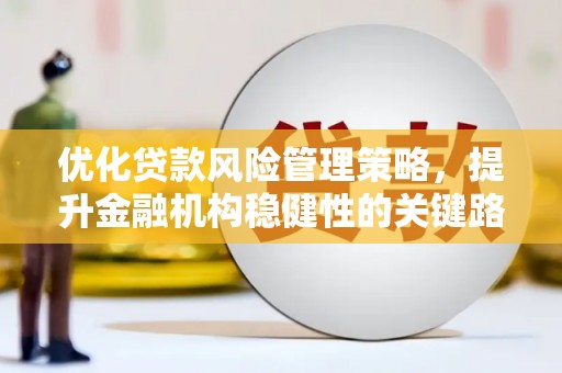 西夏优化贷款风险管理策略，提升金融机构稳健性的关键路径