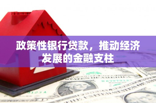 西夏政策性银行贷款，推动经济发展的金融支柱