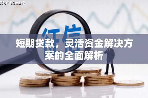 西夏短期贷款，灵活资金解决方案的全面解析