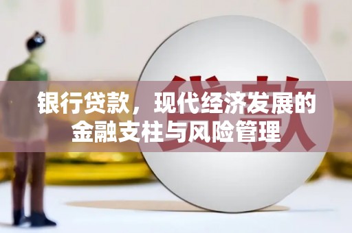 西夏银行贷款，现代经济发展的金融支柱与风险管理