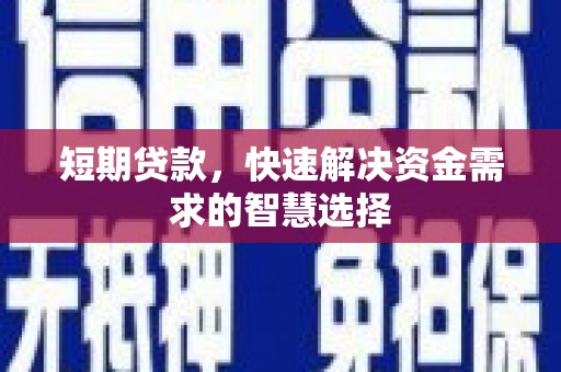 西夏短期贷款，快速解决资金需求的智慧选择