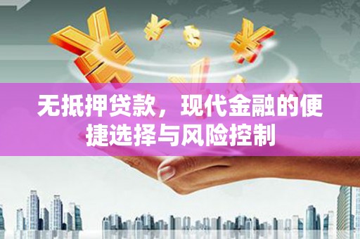 西夏无抵押贷款，现代金融的便捷选择与风险控制