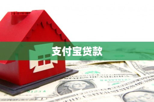 西夏支付宝贷款