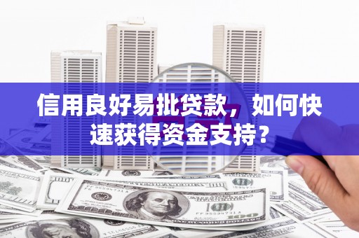 西夏信用良好易批贷款，如何快速获得资金支持？