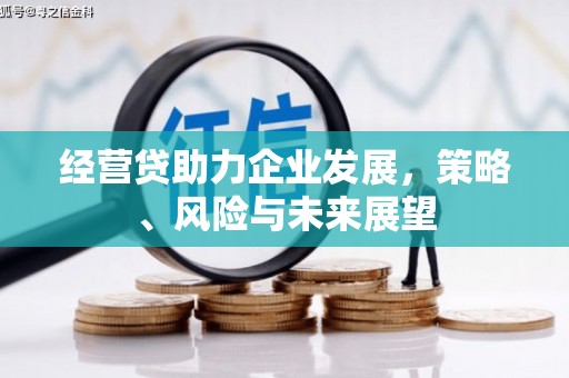 西夏经营贷助力企业发展，策略、风险与未来展望