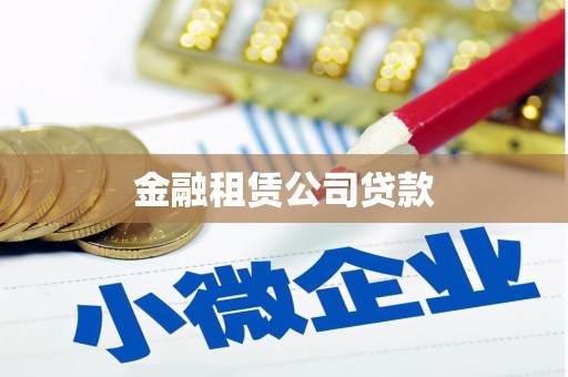 西夏金融租赁公司贷款