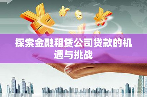西夏探索金融租赁公司贷款的机遇与挑战