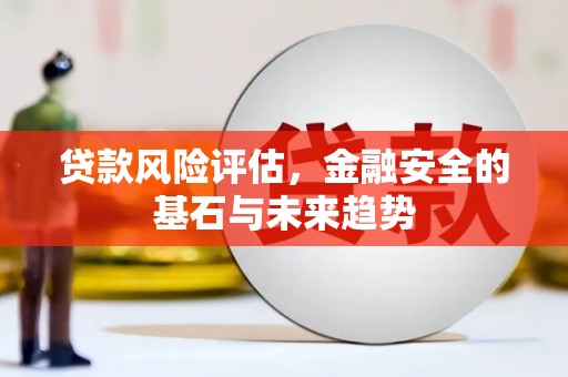 西夏贷款风险评估，金融安全的基石与未来趋势