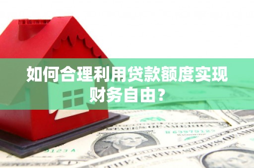 西夏如何合理利用贷款额度实现财务自由？