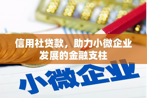西夏信用社贷款，助力小微企业发展的金融支柱