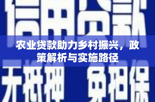 西夏农业贷款助力乡村振兴，政策解析与实施路径