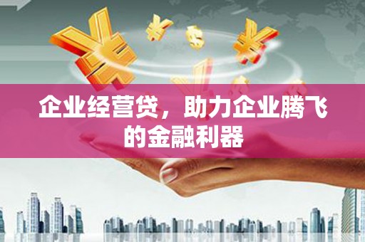 西夏企业经营贷，助力企业腾飞的金融利器