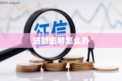 西夏贷款逾期怎么办