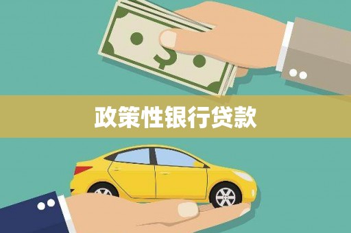 西夏政策性银行贷款