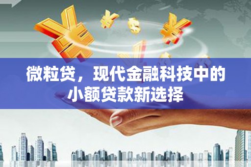 西夏微粒贷，现代金融科技中的小额贷款新选择