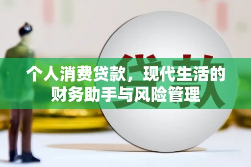 西夏个人消费贷款，现代生活的财务助手与风险管理