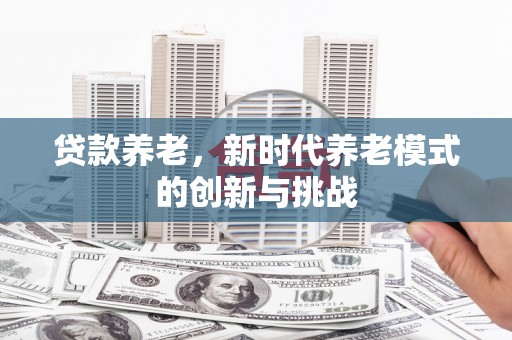 西夏贷款养老，新时代养老模式的创新与挑战