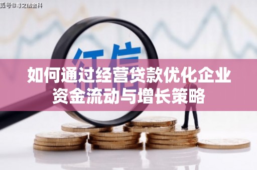西夏如何通过经营贷款优化企业资金流动与增长策略