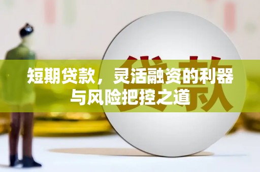 西夏短期贷款，灵活融资的利器与风险把控之道
