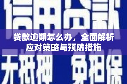 西夏贷款逾期怎么办，全面解析应对策略与预防措施
