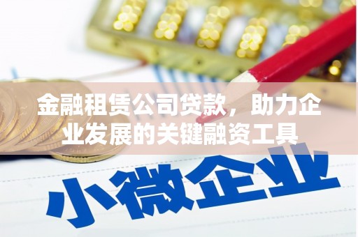 西夏金融租赁公司贷款，助力企业发展的关键融资工具