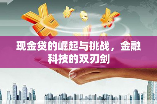 西夏现金贷的崛起与挑战，金融科技的双刃剑