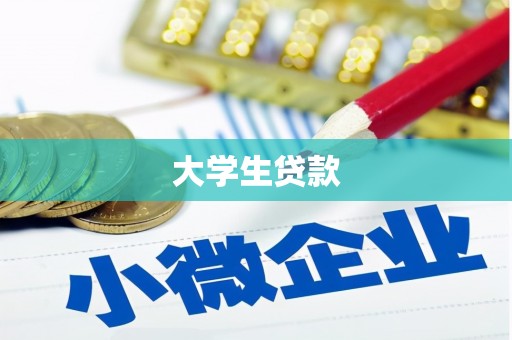 西夏大学生贷款