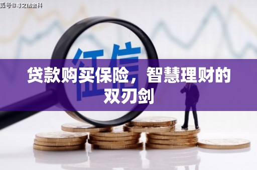 西夏贷款购买保险，智慧理财的双刃剑